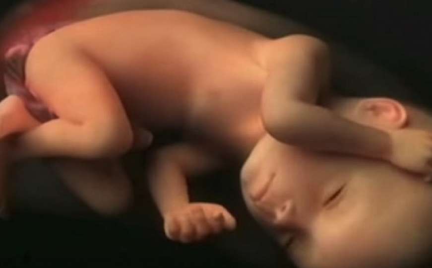 U samo četiri minute videa: Pogledajte kako izgleda devet mjeseci trudnoće