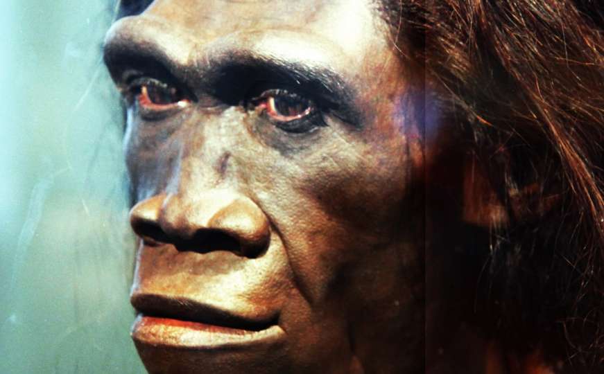 Poznato kada je TAČNO izumro prvi daleki predak današnjeg čovjeka
