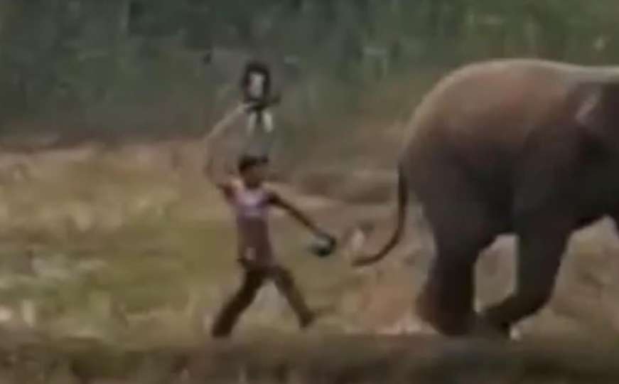 S leđa prišao slonu i udario ga štapom: Brzo je zbog toga požalio
