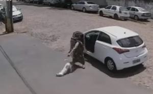 Žena izbacila invalidnog psa iz auta na ulicu i otišla