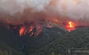 Katastrofu u Australiji izazvao čovjek: Požari su podmetnuti?