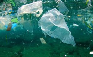 Evropska komisija razmatra zabranu korištenja plastičnih kesa