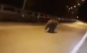Samo u Rusiji: Utrkivao se s medvjedom na autocesti