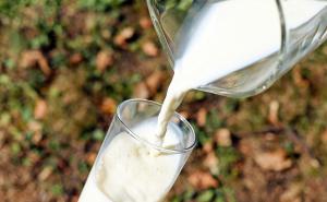 Nutricionisti otkrili: Kravlje ili biljno mlijeko, koje je zdravije