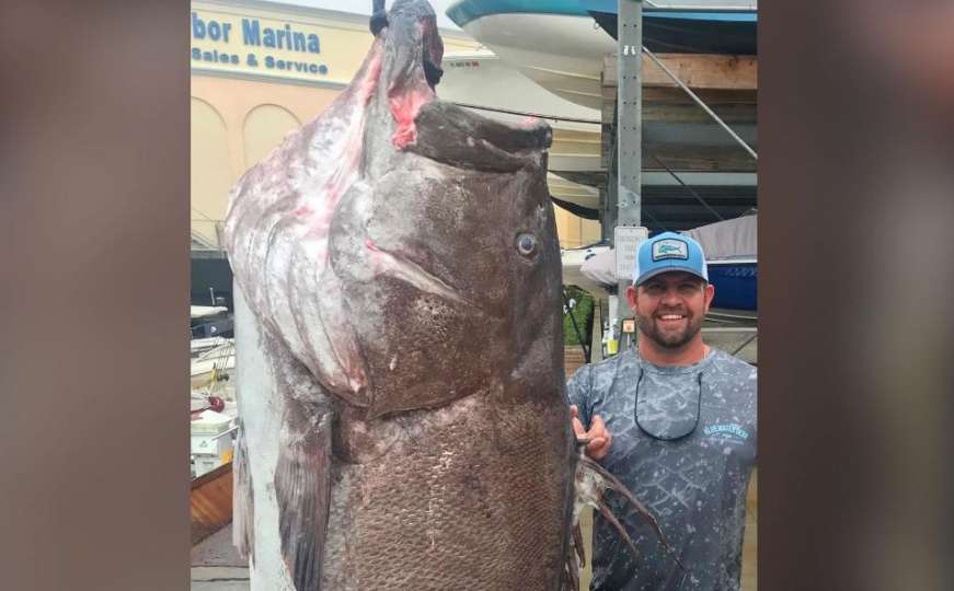 Ribari ulovili kapitalca za pamćenje: Iz velike dubine izvukli kirnju od 160 kilograma