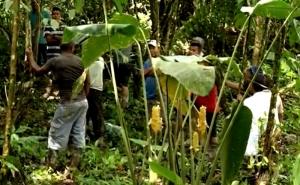 Jezivi kult u Panami mučio i ubijao ljude: Pronađena tijela trudnice i njene djece