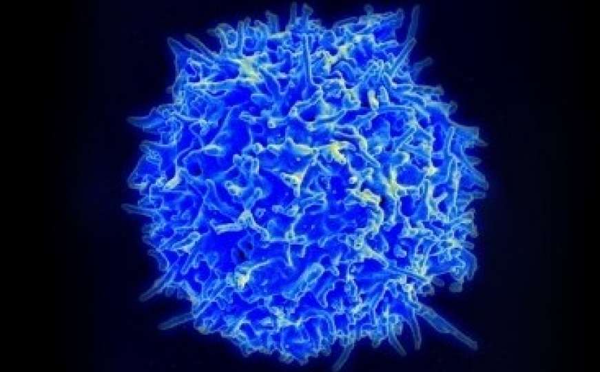 Prvi put u historiji: Naučnici otkrili tretman koji bi mogao liječiti SVE vrste raka!