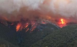 Gasili požar u Australiji: U rušenju aviona poginula tri Amerikanca  