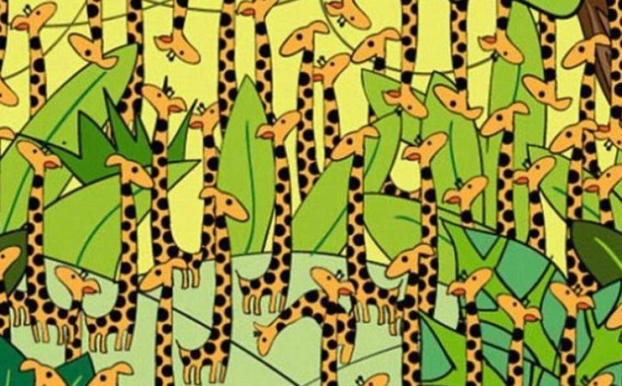 Mnogi su se uhvatili za glavu: Pogodite gdje je zmija među žirafama