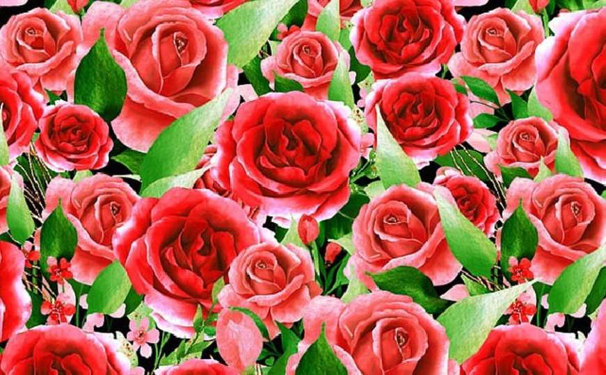 Možete li u roku od tri minute pronaći pet srca u laticama ruže 