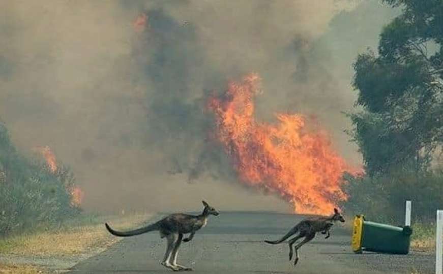 Glavni grad Australije proglasio vanredno stanje zbog požara