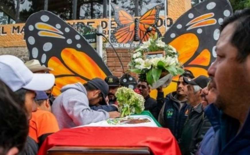 U Meksiku ubijaju ljude koji pokušavaju spasiti leptire