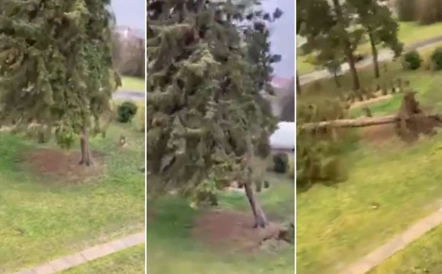 Nevrijeme zahvatilo Hrvatsku: Pogledajte kako je vjetar iščupao stablo u Čakovcu