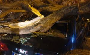 U Hercegovini sabiru štetu: Padala stabla, crjepovi, reklame, uništen dio stadiona