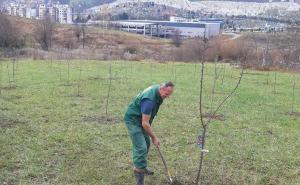 Sarajevsko preduzeće Park će angažovati novih 157 radnika
