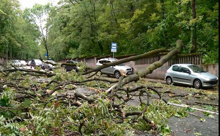 Nevrijeme u Sloveniji: Srušeno stablo uslijed jakog vjetra ubilo vozača