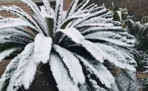 U Bagdadu pao snijeg drugi put u 100 godina 