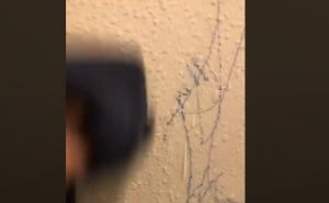 Majka slučajno otkrila trik kako obrisati škrabotine sa zida, iznenadiće vas