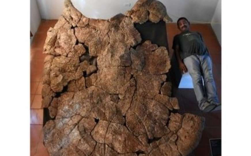 Pronađen fosil kornjače velike kao automobil