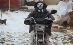 Ovo još niste vidjeli: Snješko Bijelić vozi motor 