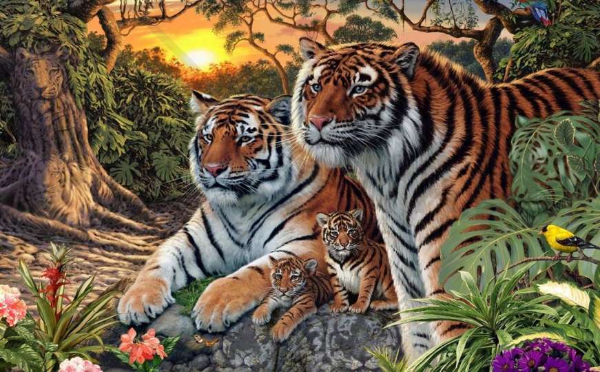 Ne, nisu samo četiri tigra na fotografiji - pronađite ostale!