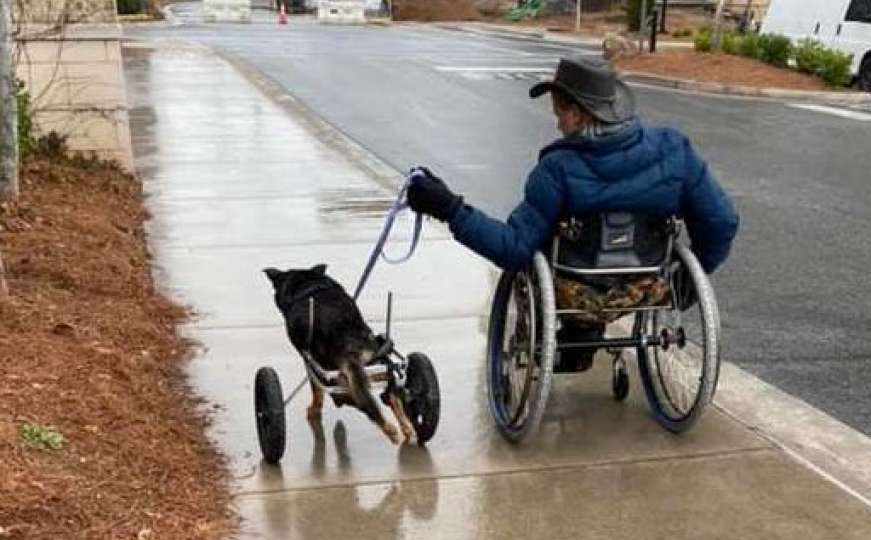 Čovjek u invalidskim kolicima usvojio psa koji je - u kolicima
