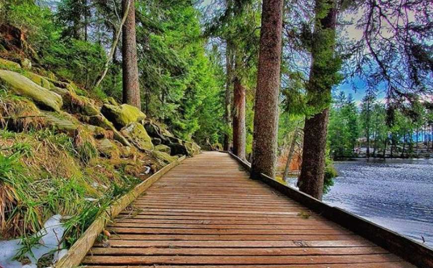 Ovo je najpopularnija šuma na Instagramu