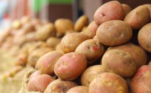 Ovaj savjet za liječenje hemoroida nipošto nemojte probati!