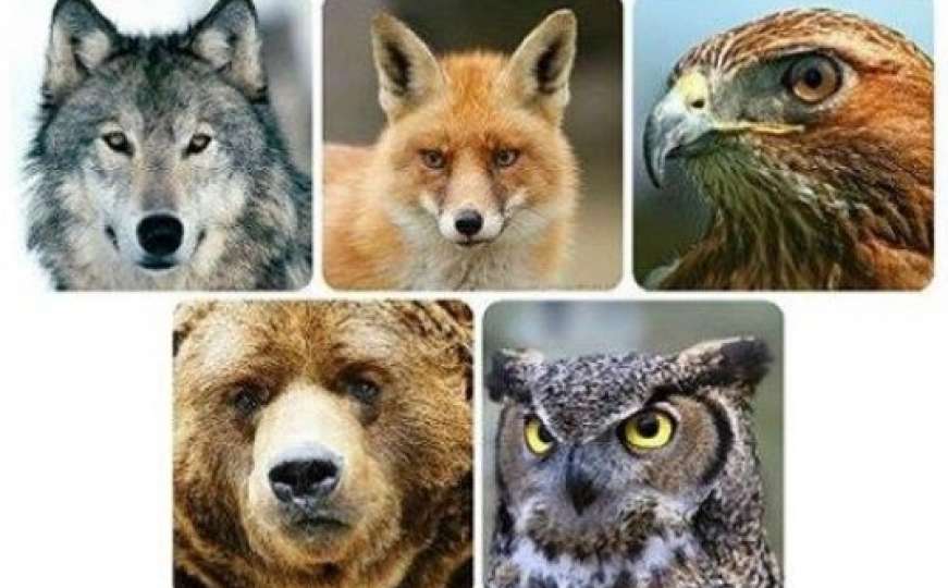 Otkrijte nešto novo o sebi: Koja od ovih 5 životinja vas najviše fascinira?