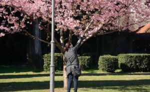 Sarajevo jutros toplije od Mostara: Objavljena prognoza za dane vikenda