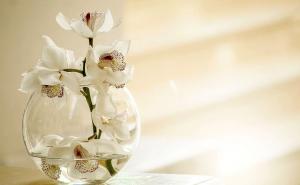 Mjesečni horoskop za mart: Šta su zvijezde pripremile za početak proljeća