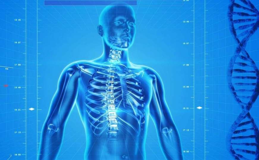 Nevjerovatne činjenice o ljudskom tijelu: Kosti jače o čelika, čudan rast noktiju