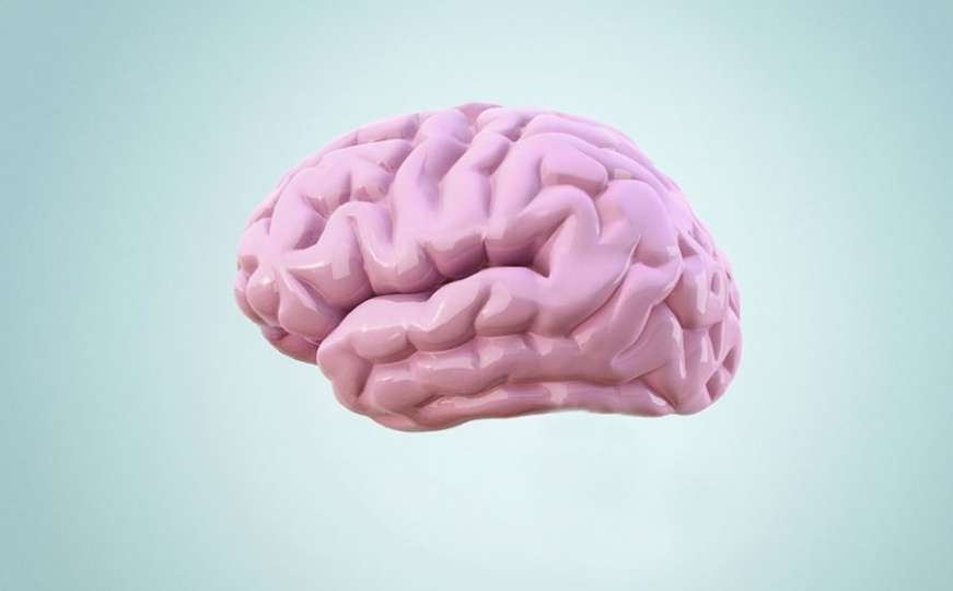 Niste ni svjesni koliko je vaš mozak snažan: Ove činjenice to dokazuju 