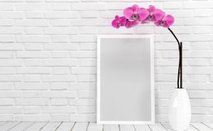 Orhideja: Šest pravila uz koje će osjetljive ljepotice (napokon) procvjetati