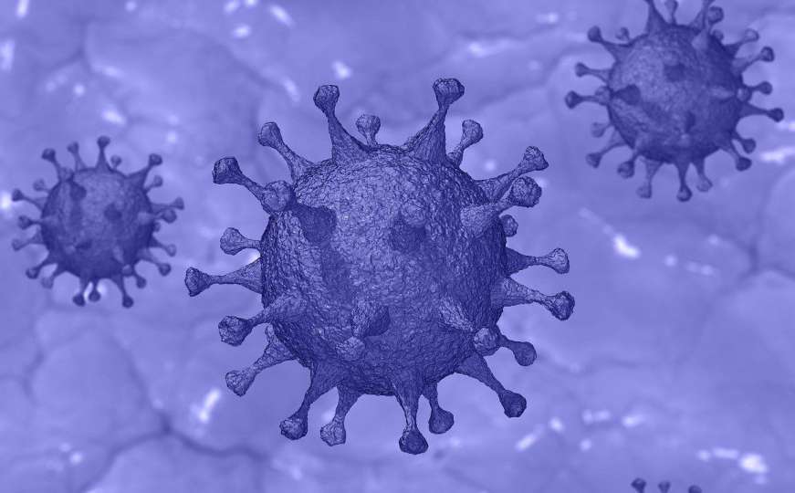 Francuska: Antibiotik iz Hrvatske pomaže u borbi sa koronavirusom!