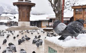 Snježno proljeće u Sarajevu