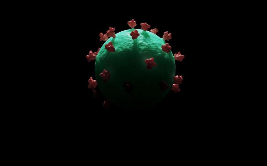 Naučna analiza sugerira: Koronavirus mogao bi biti "himera" dva različita virusa