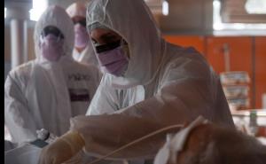 Italija: Vrhunac epidemije je blizu, drugi dan pada broj smrtno stradalih