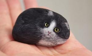 Japanska umjetnica koja je oživjela kamenje: Pretvara ih u preslatke životinjice