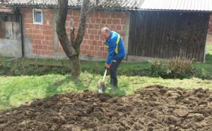 S njive na Twitter: Mektić se latio macole i lopate i pita se šta je to korona