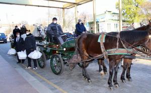 Bečki fijakeri dobili drugu namjenu, u skladu sa situacijom