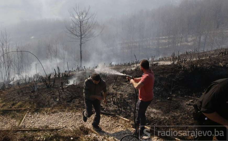  Izbio požar na Humu, vatrogasci na terenu