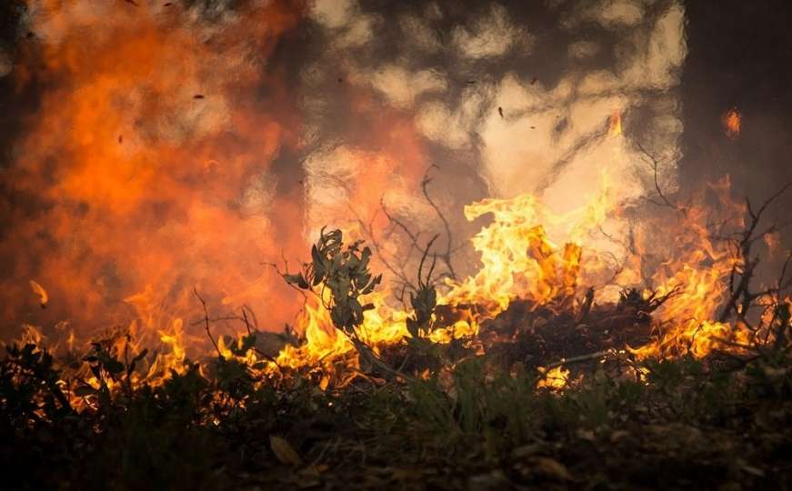 MUP KS poslao saopćenje: Kazna za izazivanje šumskog požara je 12 godina zatvora