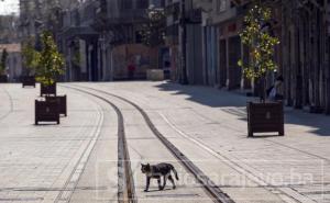 Istanbul: I pored pandemije, ne prestaju brinuti o svojim mačkama na ulici