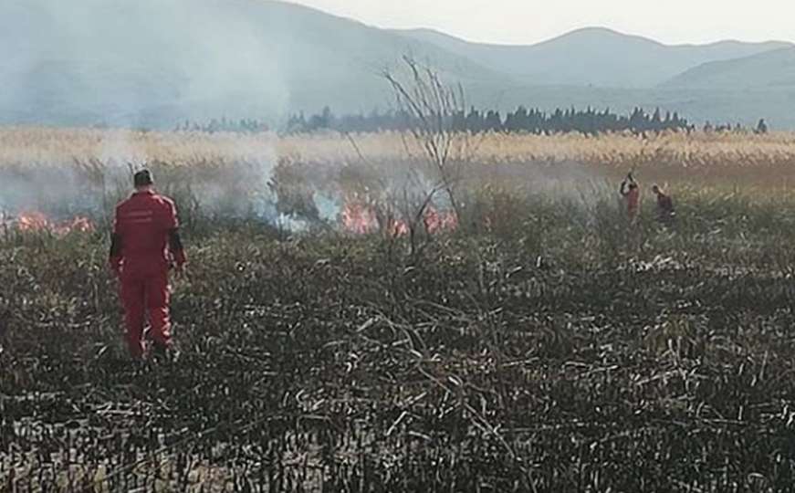 Vatrogasci se bore protiv vatrene stihije: Ponovo gori Park prirode Hutovo blato