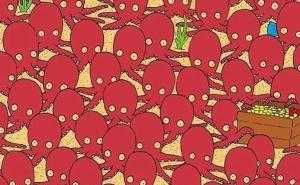 Mnoge je namučila: Nađite ribicu među hobotnicama