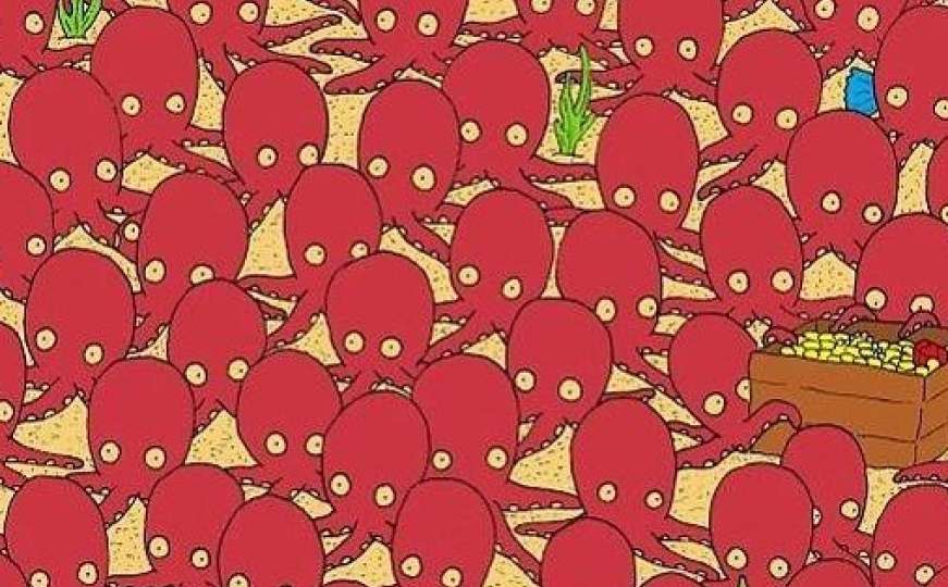 Mnoge je namučila: Nađite ribicu među hobotnicama