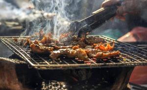 Hrvatska: Roštiljanje za 1. maj je dopušteno, uz jedan veliki uvjet