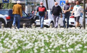 Pogled na cvjetno šarenilo u Sarajevu kakvo samo proljeće može dati