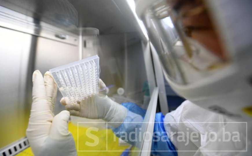 Jedan tim naučnika prvi u utrci: Blizu smo vakcine, testirani majmuni ozdravili!